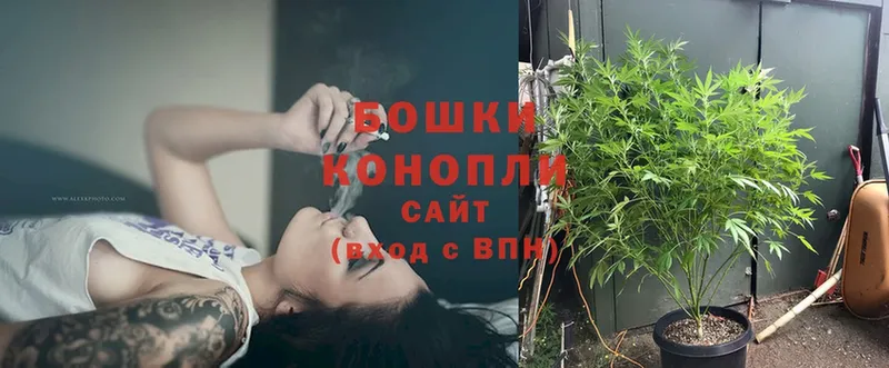 мега зеркало  Могоча  Шишки марихуана OG Kush 